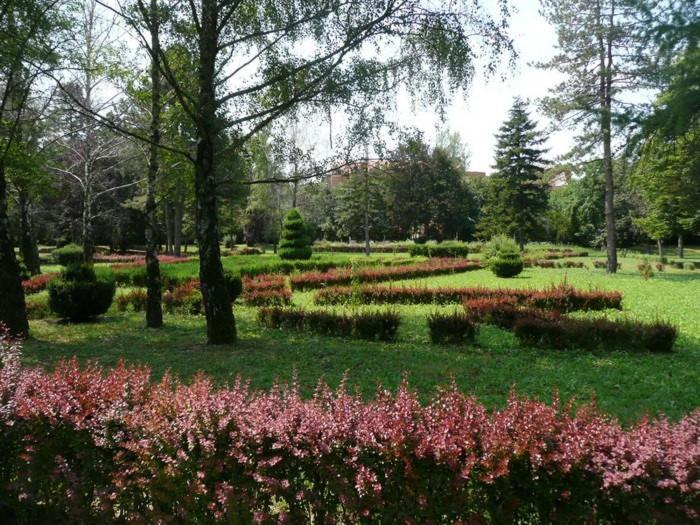 Apartman Ana Becej Bagian luar foto