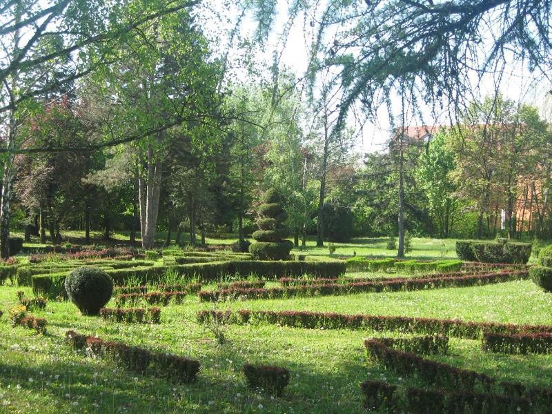 Apartman Ana Becej Bagian luar foto