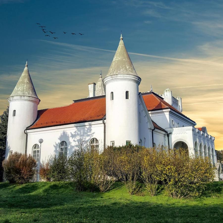 Apartman Ana Becej Bagian luar foto